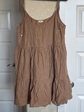 aerie Taupe Dress with Gold Metallic Accents